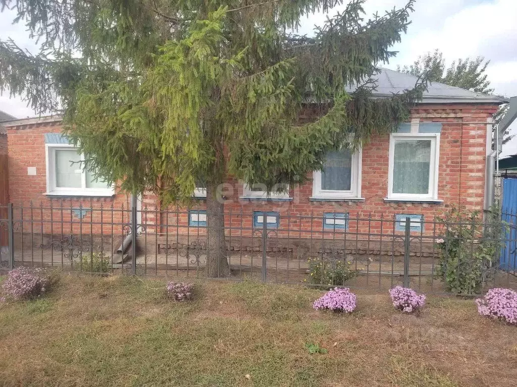 Дом в Белгородская область, Красногвардейский район, Никитовское ... - Фото 0