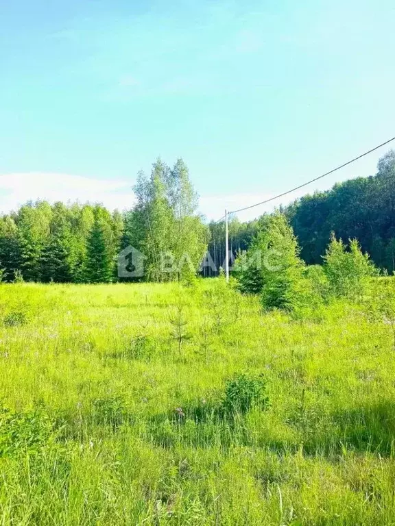 Участок в Калужская область, Малоярославецкий район, Маклино с/пос, д. ... - Фото 2