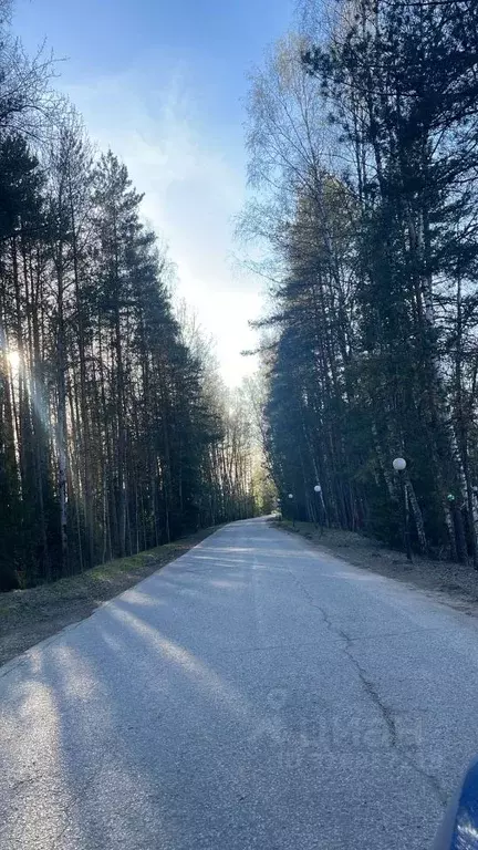 Участок в Московская область, Богородский городской округ, д. Жилино ... - Фото 1