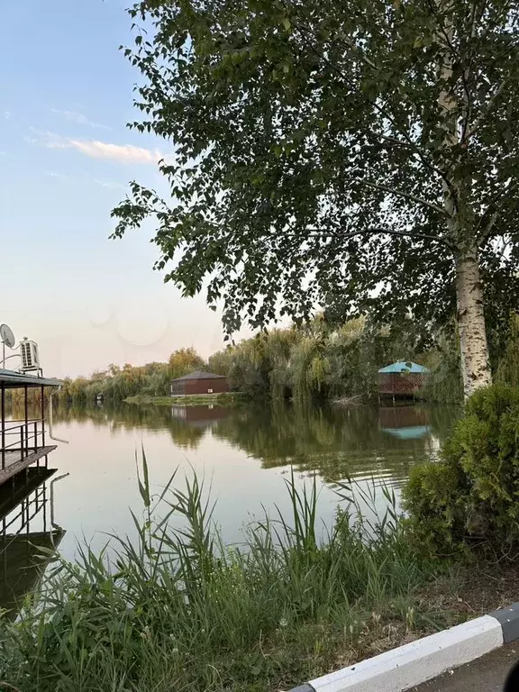 Участок 10 сот. (ИЖС) - Фото 0