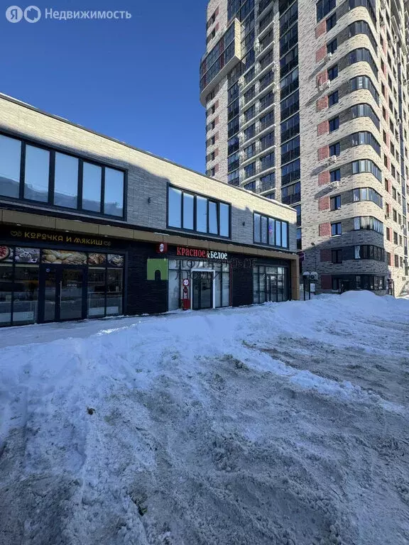 Офис (50.7 м) - Фото 2