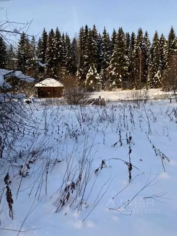 Дом в Пермский край, Осинский городской округ, с. Паль ул. Кобели, 15 ... - Фото 0