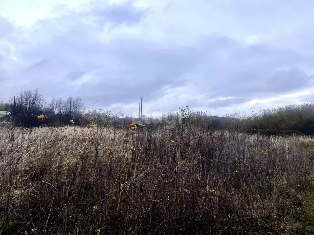 Участок в Мордовия, Саранск городской округ, Николаевка рп ул. Ленина ... - Фото 1