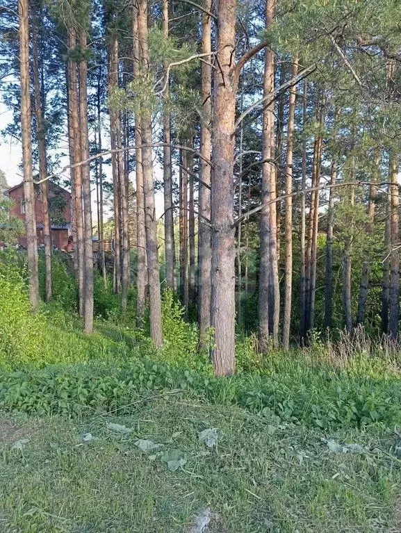 Участок в Томская область, Томск ул. Садовое кольцо (9.56 сот.) - Фото 2
