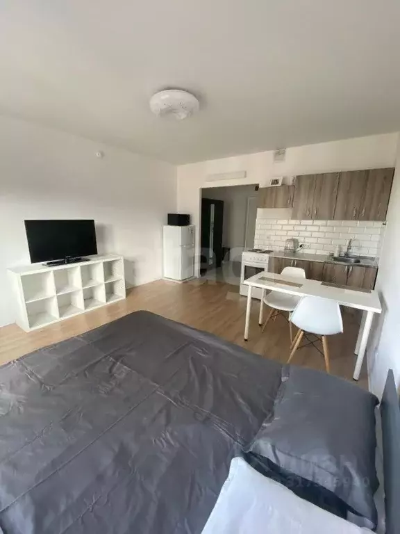 Студия Санкт-Петербург ш. Суздальское, 30к2 (25.7 м) - Фото 0