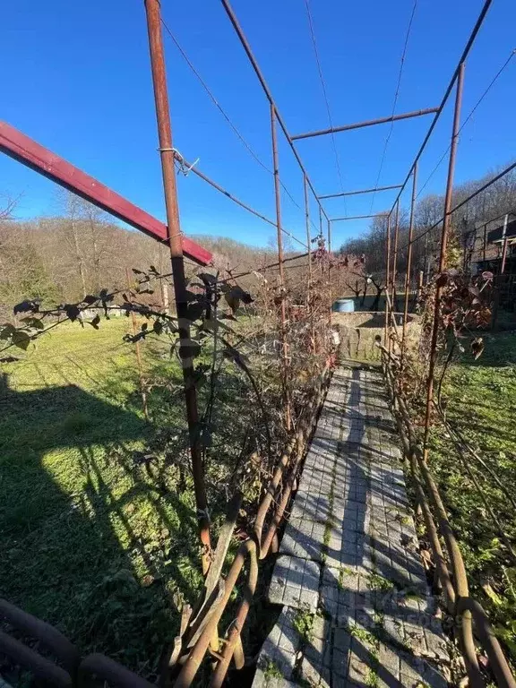 Участок в Краснодарский край, Геленджик городской округ, с. Пшада  ... - Фото 1