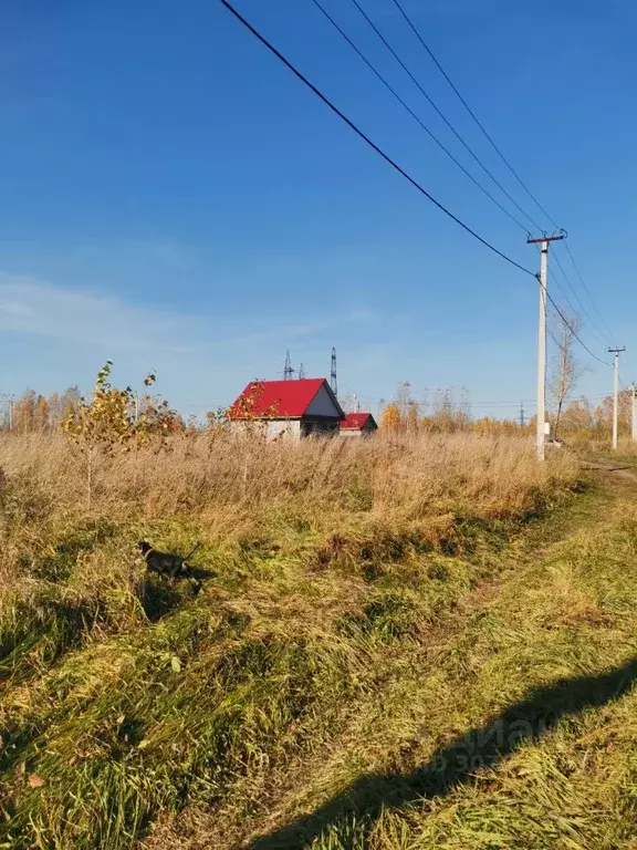 Участок в Алтайский край, Первомайский район, пос. Новый ул. Есенина ... - Фото 2