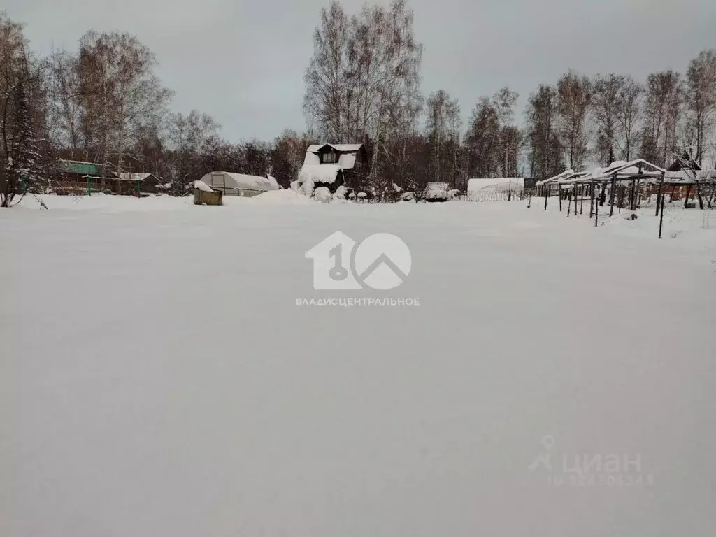 Участок в Новосибирская область, Новосибирск Сибиряк СНТ, ул. Лесная ... - Фото 1
