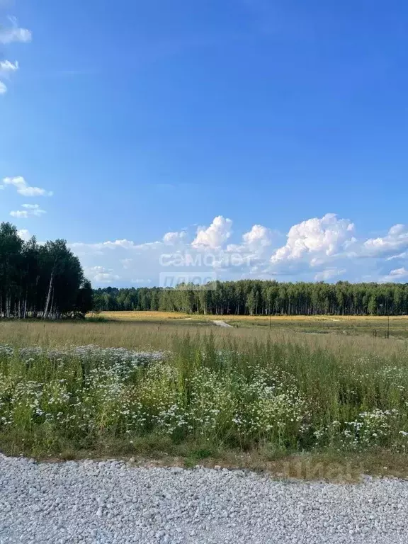 Участок в Московская область, Ступино городской округ, д. Шелково ул. ... - Фото 1