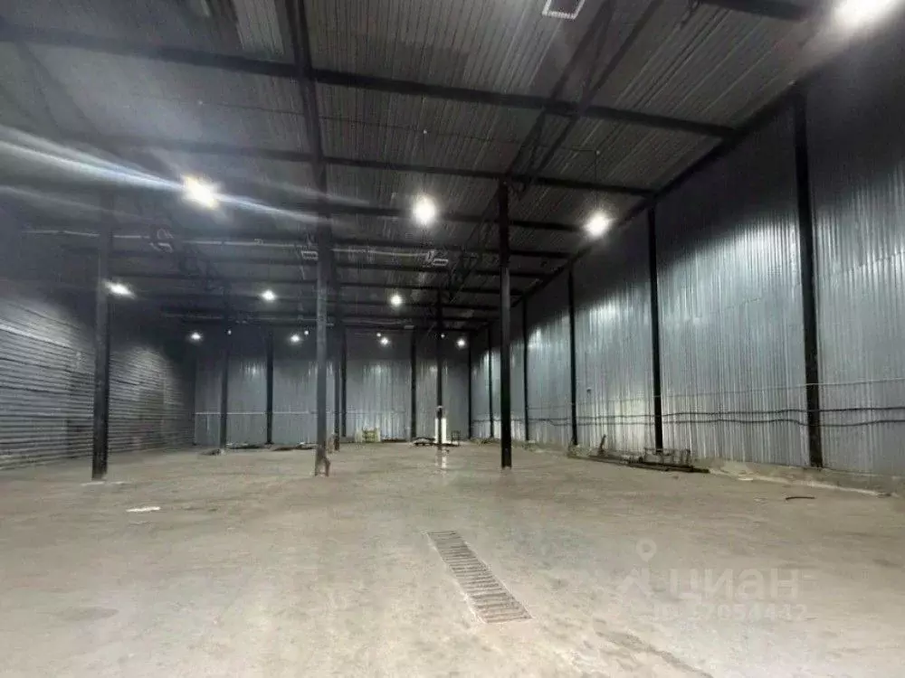 Торговая площадь в Московская область, Химки Сходня мкр, ул. ... - Фото 2