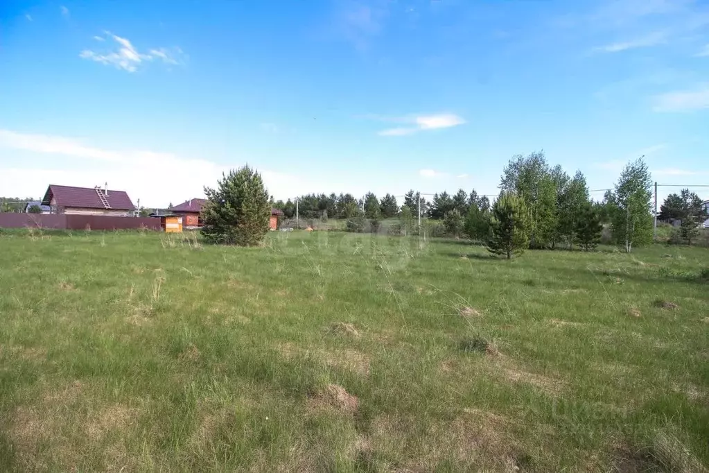 Участок в Алтайский край, Первомайский район, с. Фирсово, Рощино мкр ... - Фото 1