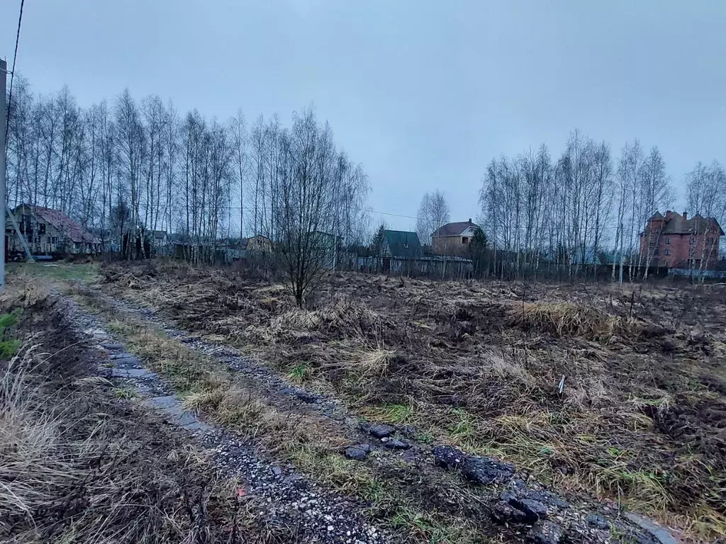 Участок в Московская область, Богородский городской округ, Зорька СНТ  ... - Фото 2