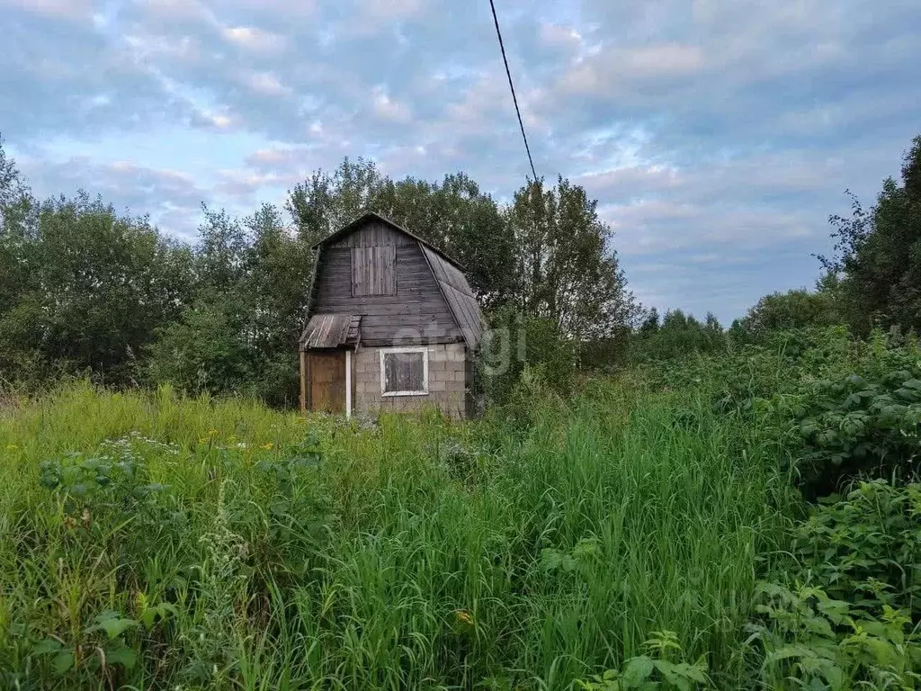 Купить Дачу В Коломне Снт Сосновка