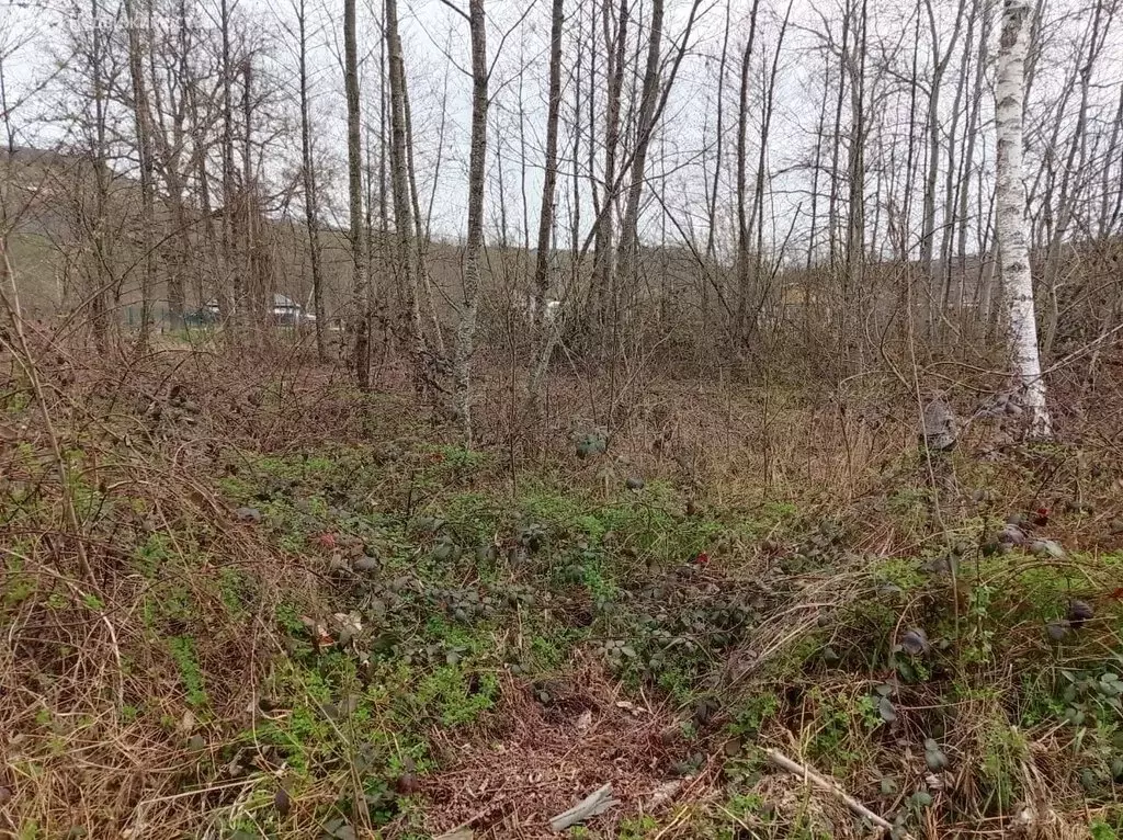 Участок в Каменномостский, Цветочная улица, 26 (8 м) - Фото 1