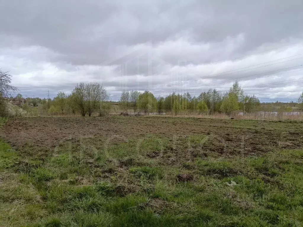 Участок в Московская область, Сергиево-Посадский городской округ, с. ... - Фото 0