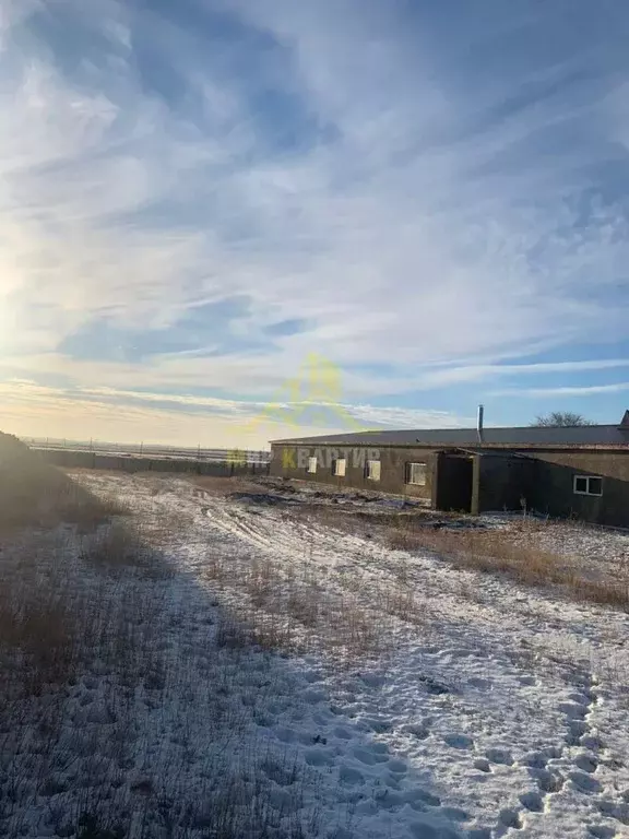 Производственное помещение в Оренбургская область, Гайский ... - Фото 0