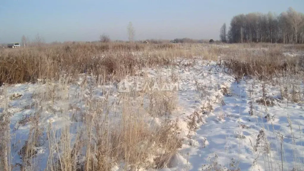Участок в Ленинградская область, Ломоносовский район, Лопухинское ... - Фото 1