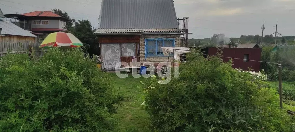 Купить Дом В Зональном Районе Алтайского Края