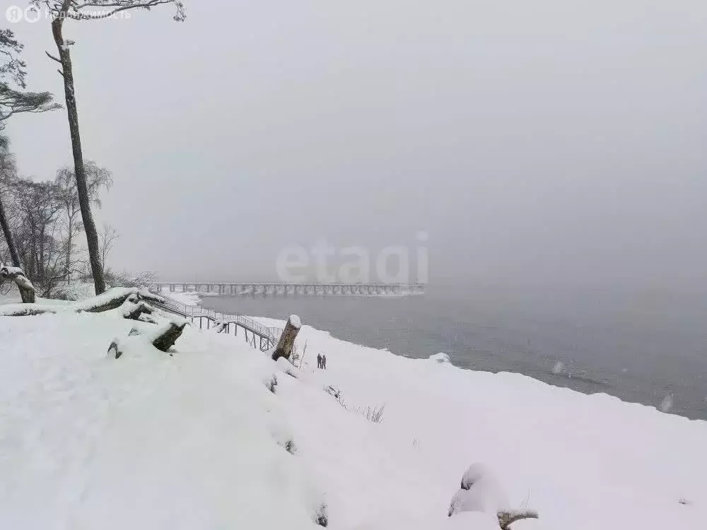Участок в Калининградская область, Зеленоградский муниципальный округ, ... - Фото 1