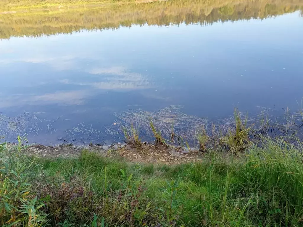 Участок в Нижегородская область, Нижний Новгород Мещерское Озеро ... - Фото 0