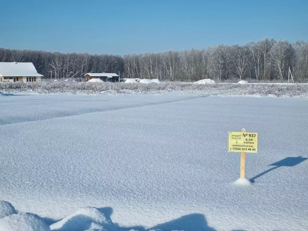 Участок в Московская область, Ступино городской округ, д. Ламоново, ... - Фото 1
