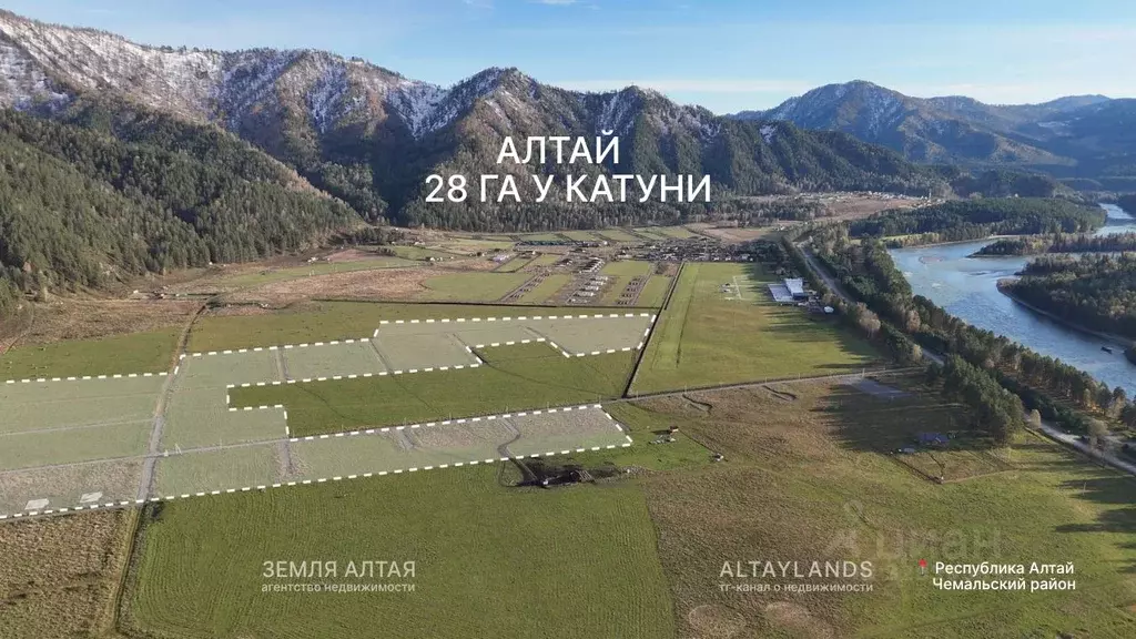 Участок в Алтай, Чемальский район, Чепошское с/пос  (28.0 га.) - Фото 1
