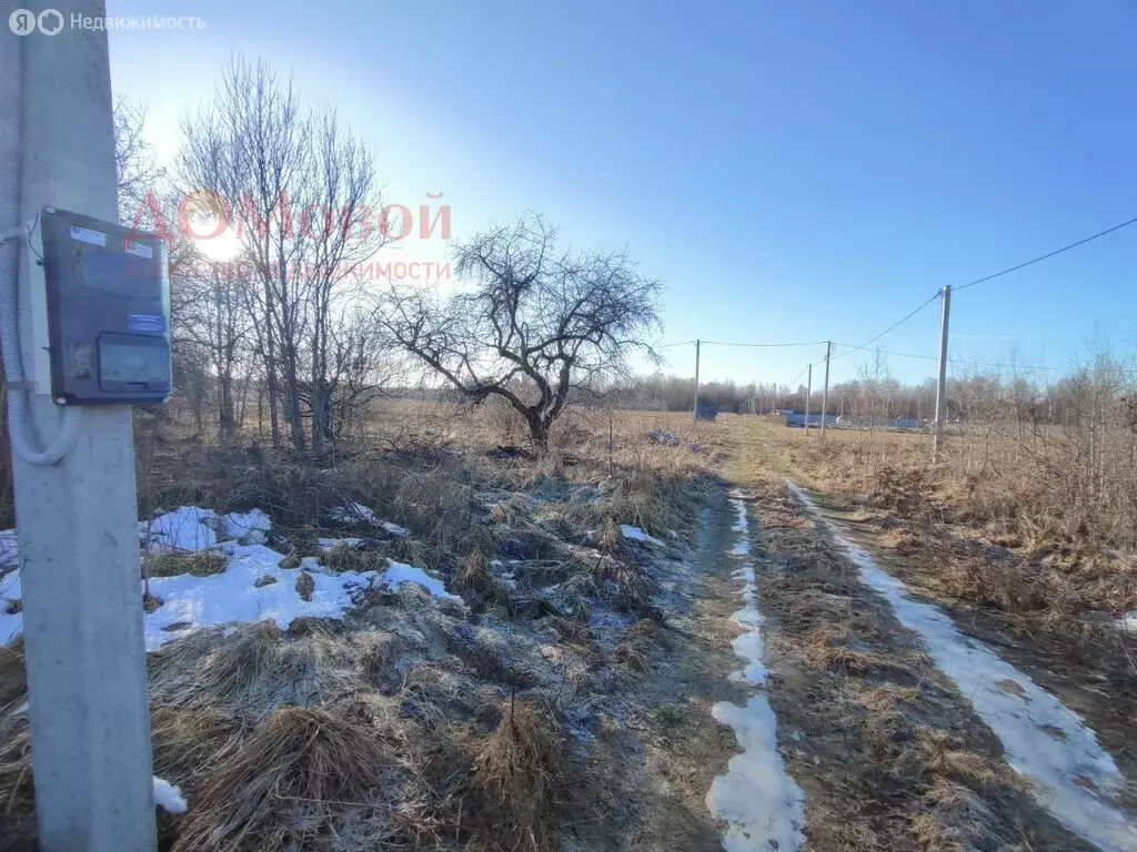 Участок в Смоленск, садовое некоммерческое товарищество Славутич (12.5 ... - Фото 1