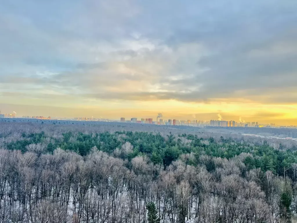 2-к кв. Москва 16-я Парковая ул., 12 (55.1 м) - Фото 1