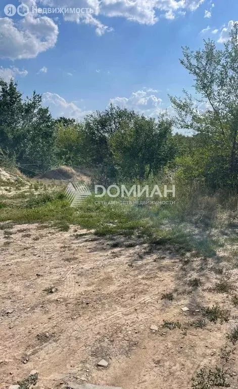 Участок в Новочеркасск, СНТ Виноградная Лоза, 464 (6.12 м) - Фото 1