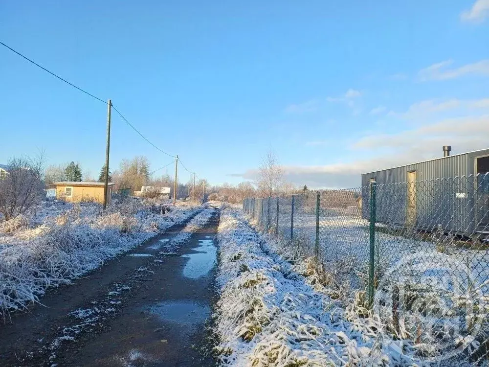 Участок в Ленинградская область, Выборгский район, Рощинское городское ... - Фото 2