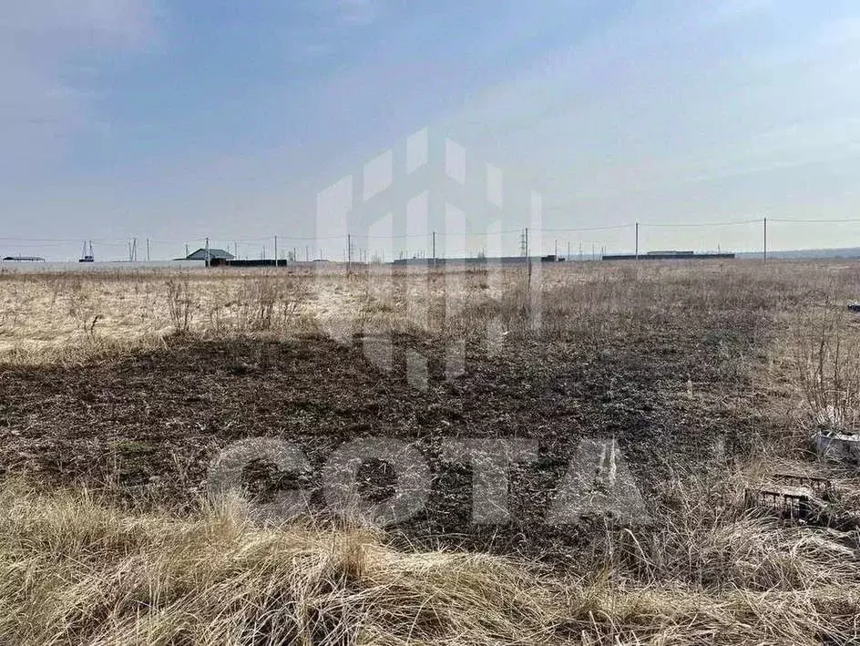 Участок в Воронежская область, Семилукский район, с. Девица ул. ... - Фото 2