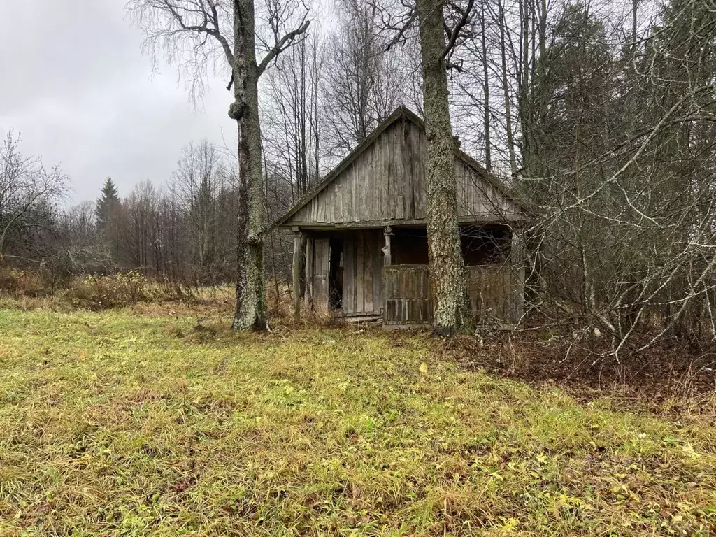 Участок в Калужская область, Тарусский муниципальный округ, д. Гурьево ... - Фото 1