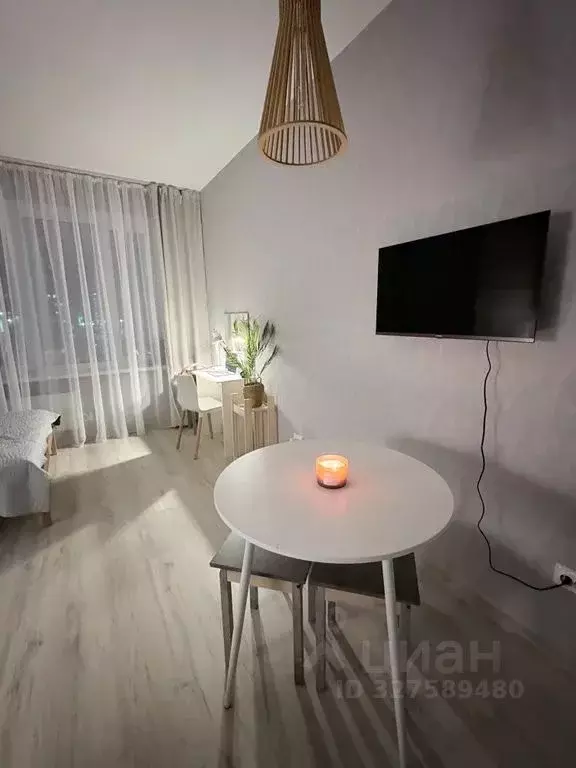 Студия Псковская область, Псковский район, Завеличенская волость, д. ... - Фото 2