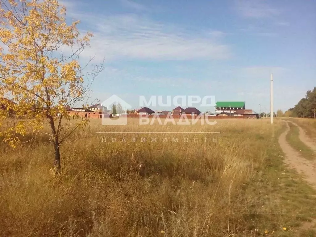 Участок в Омская область, Омский район, Усть-Заостровское с/пос, пос. ... - Фото 2