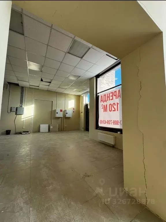 Помещение свободного назначения в Ленинградская область, Всеволожский ... - Фото 1