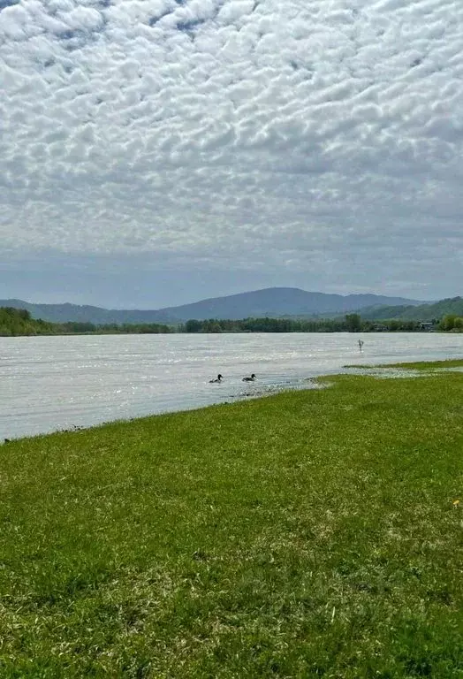 Дом в Алтайский край, Алтайский район, Айский сельсовет, с. Ая ул. ... - Фото 2