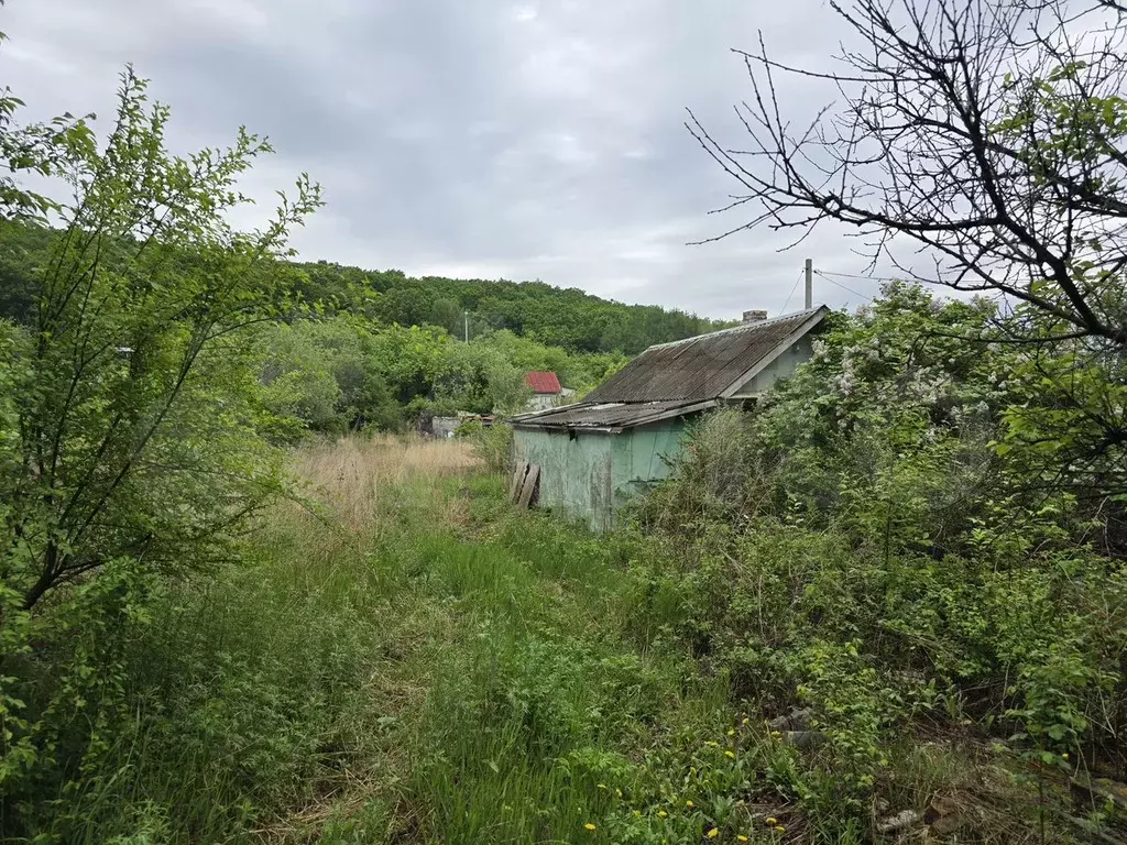 Участок 11,8 сот. (СНТ, ДНП) - Фото 0