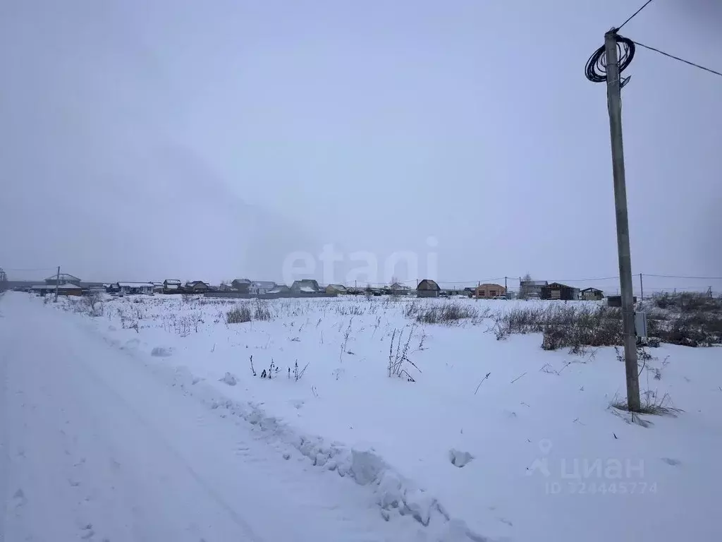 Участок в Новосибирская область, Новосибирский район, Толмачевский ... - Фото 1