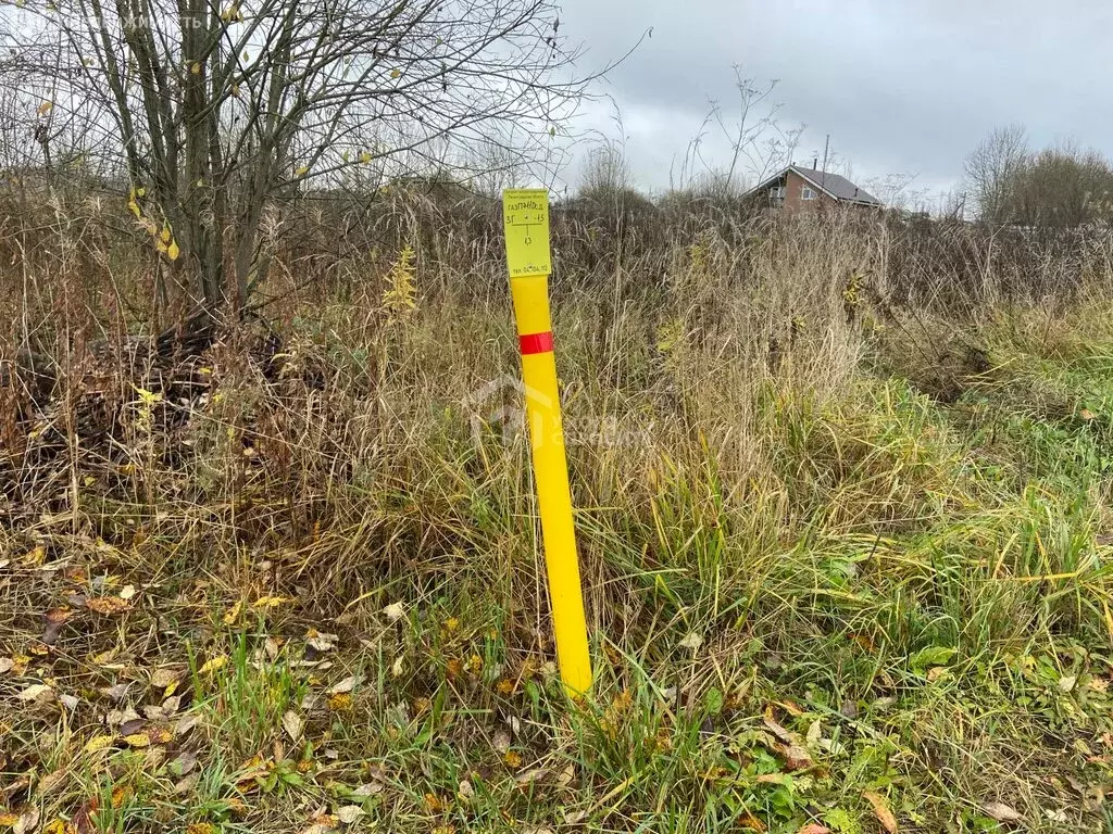 Участок в деревня Гостилицы, Земляничная улица, 11 (10 м) - Фото 2