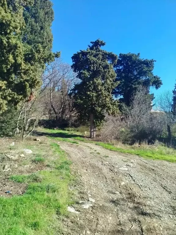 Участок в Крым, Ялта ул. Мухина, 1К (12.0 сот.) - Фото 1