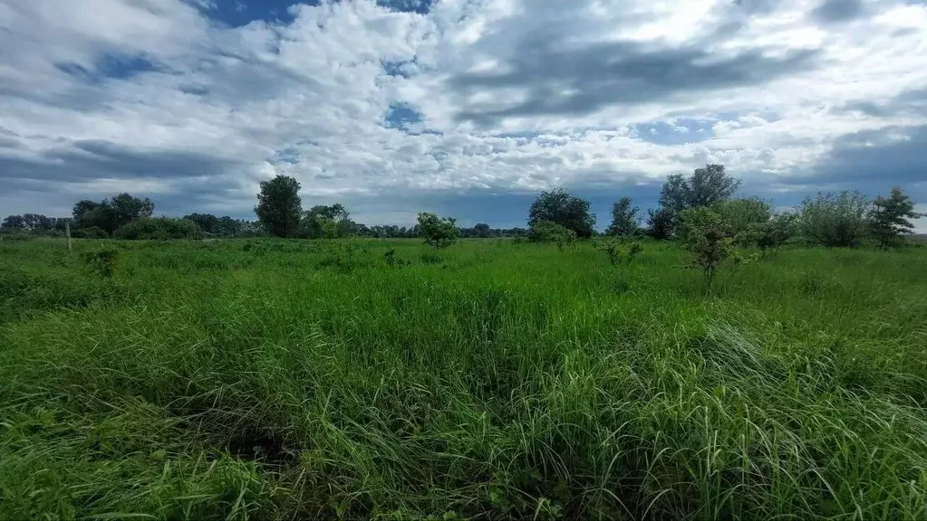 Участок в Краснодарский край, Северский район, Новодмитриевское с/пос, ... - Фото 2