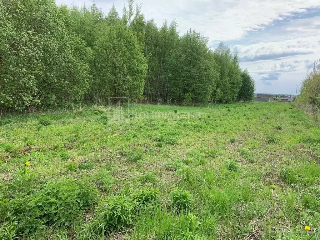 Участок в Владимирская область, Ковров Линейная ул. (9.0 сот.) - Фото 2