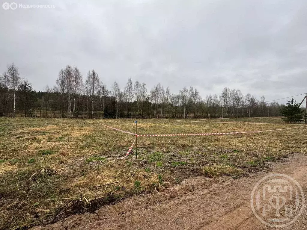 Участок в Скребловское сельское поселение, деревня Домкино, 14 (11 м) - Фото 1