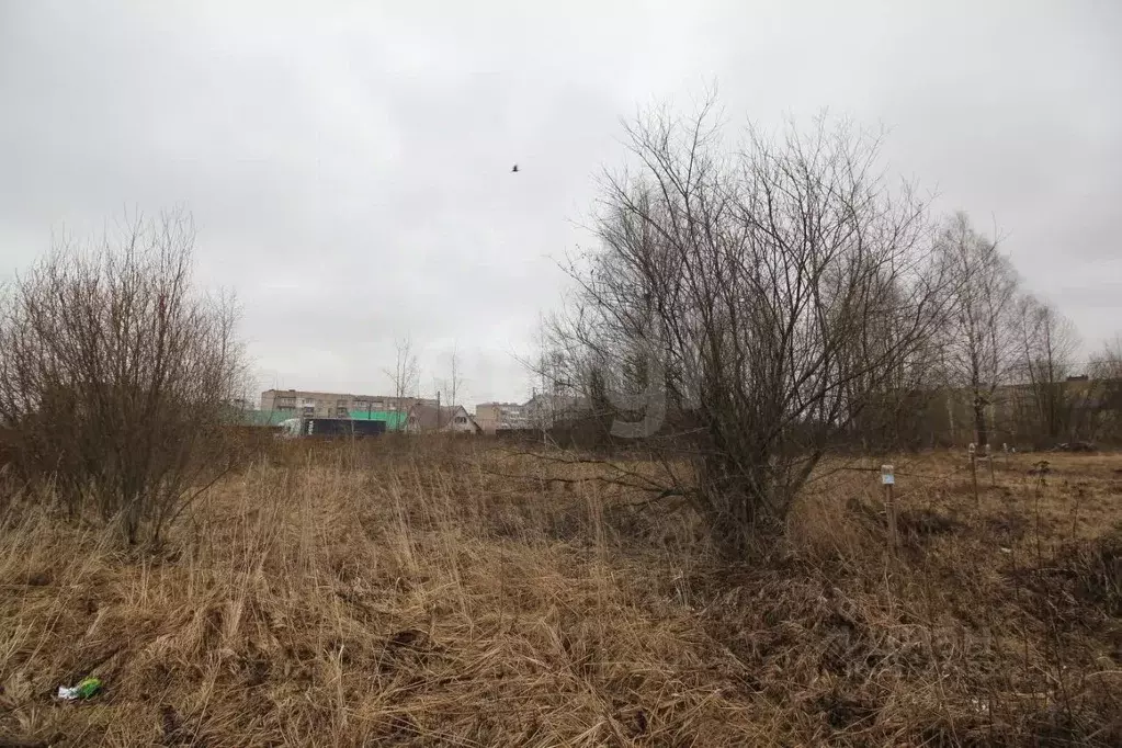 Участок в Вологодская область, Шексна рп ул. Западная (10.0 сот.) - Фото 2
