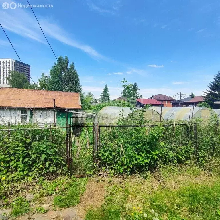 Участок в Иркутск, СНТ имени 4-й Пятилетки, 4 (3.06 м) - Фото 1