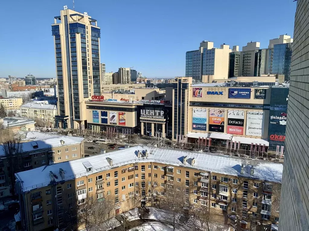 2-к кв. Воронежская область, Воронеж ул. Революции 1905 года, 31Д ... - Фото 2