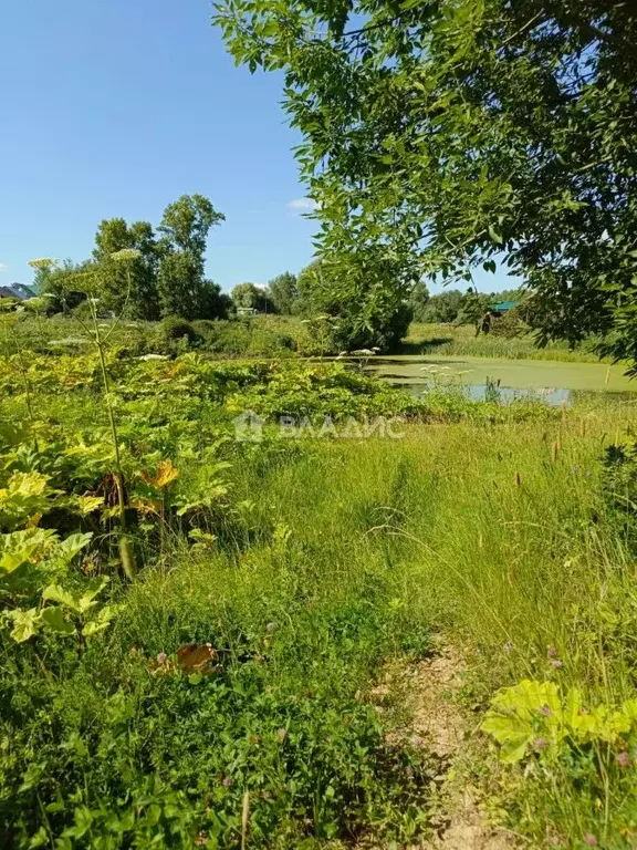 Участок в Владимирская область, Суздальский район, Новоалександровское ... - Фото 2