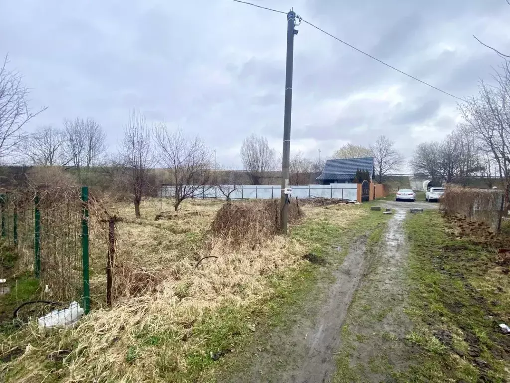 Участок в Калининградская область, Калининград Чайка СНТ, ул. ... - Фото 2