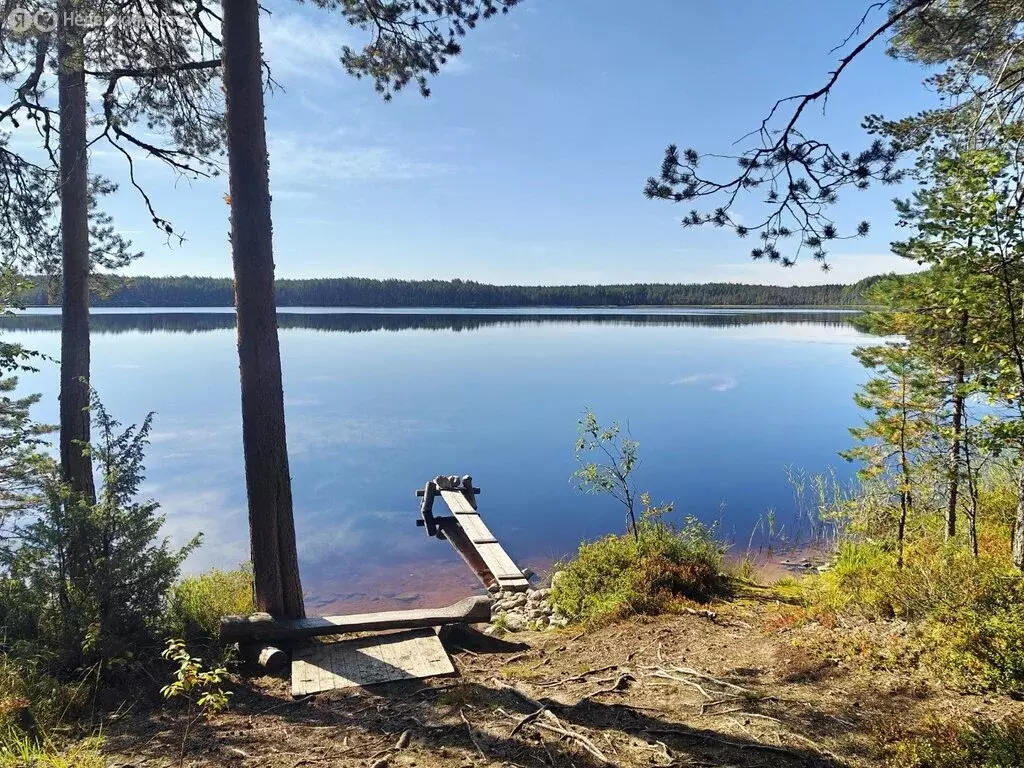 Участок в Нововилговское сельское поселение, СНТ Гильд, 30 (15 м) - Фото 1