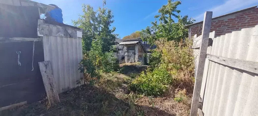 Дом в Белгородская область, Новооскольский муниципальный округ, с. ... - Фото 1